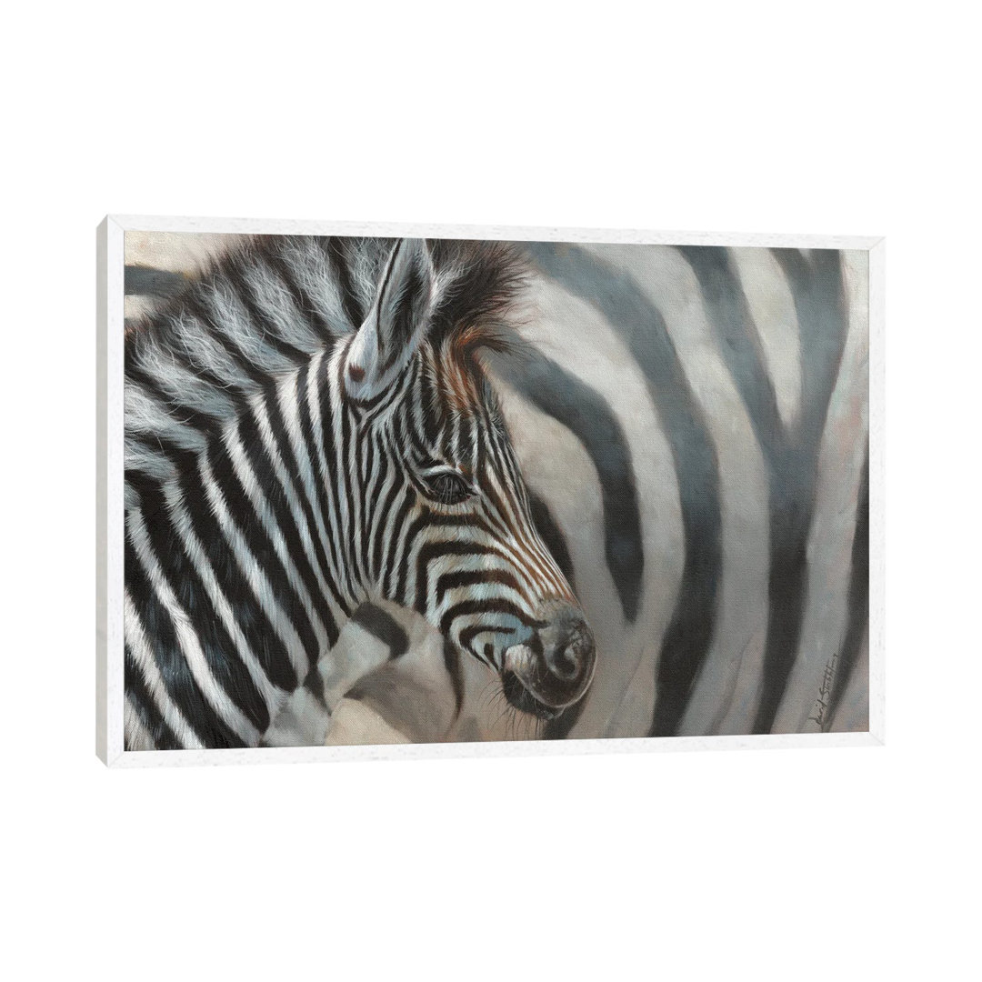 Zebrafohlen von David Stribbling - Galerie-verpackte Leinwand Giclée auf Leinwand