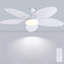Ventilateur de plafond 52/62 po à 5 pales avec lumières et télécommande-979232278-991213816