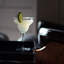 Roma 1960 13.25 oz. Margarita Glasses