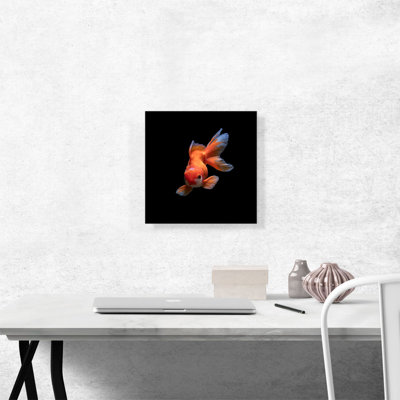 " Gold Fish Home Decor "