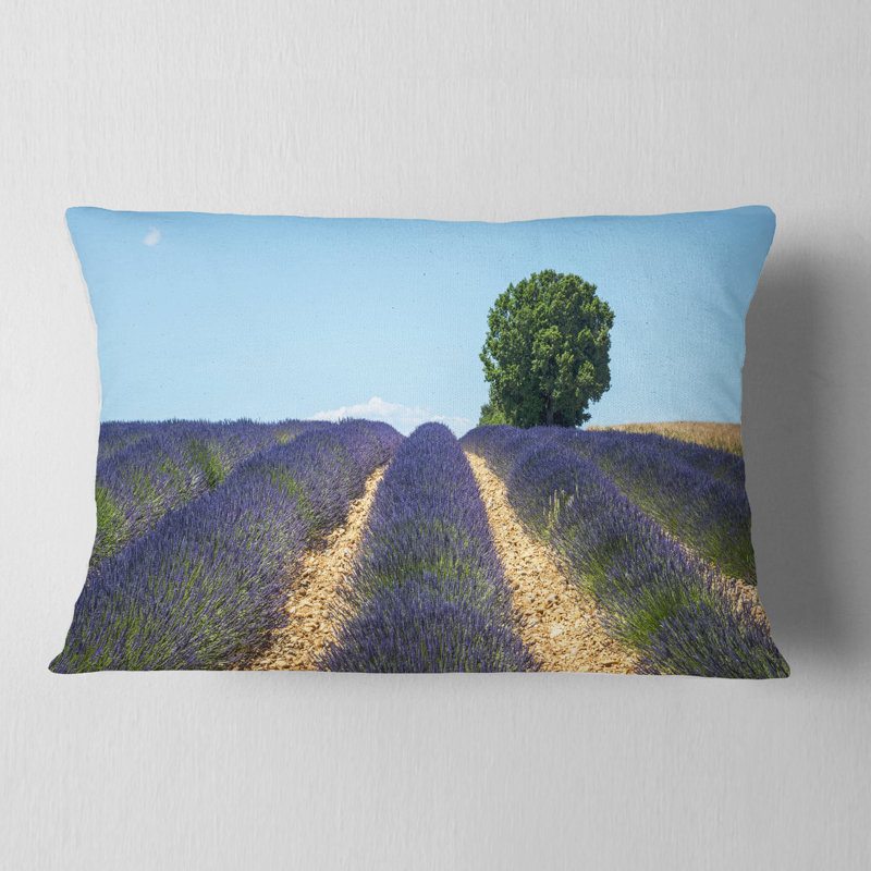 Coussin lombaire Schafer