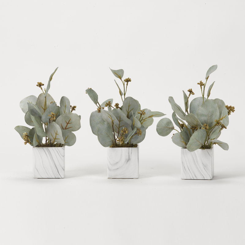 Faux Seed Eucalyptus Plant in Ceramic Planter
