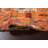 One-of-a-Kind 3'1'' X 5'10'' New Age Wool Area Rug in