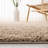 Helsel Shag Performance Machine Washable Solid Color Rug-21814481