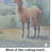 Llama Glass Cutting Board Large