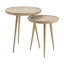 Ensemble de 2 tables d'appoint Tyringham