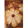 Lupe Floral Indoor Rug