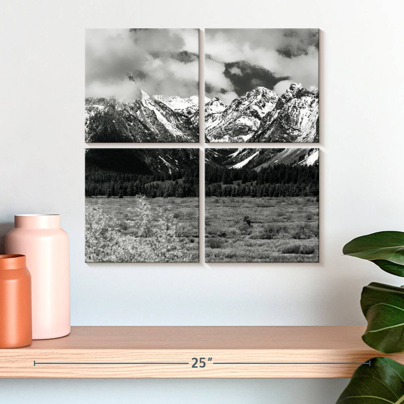 Alvord Snowy Teton Mountains BW, H 18 po x l 18 po