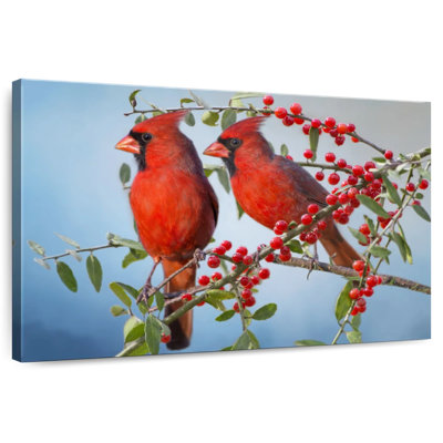 Twin Cardinals