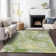 Machine Washable Indoor/Outdoor Chayden ACN1005 Green Rug