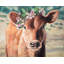 Napperon Rustic Farm Animals | Décoration mignonne de vache jersey