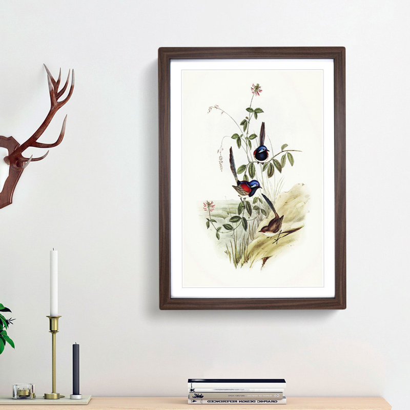 Beautiful Wrens by Elizabeth Gould - Single Picture Frame Painting, 45cm H x 33cm W x 2cm D, Walnut Framed
