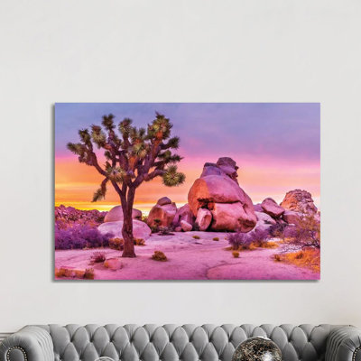 " Joshua Tree National Park X " by Susanne Kremer