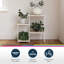 Caedin Plant Stand