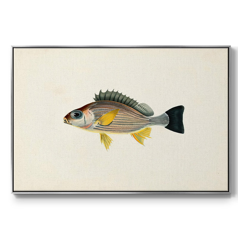 " Tropical Fish Collection III ", 27" H x 41" W x 2" D, Silver Framed