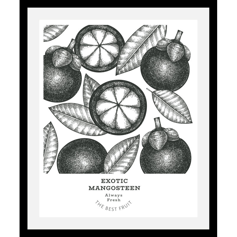 Exotic Mangosteen - Single Picture Frame Print, 70cm H x 50cm W