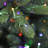Fraser Hill Farm 12 ft. York Pine Prelit Artificial Christmas Tree with Stand-1700166345