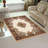 Oriental Indoor Rug-18774122