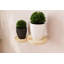Locelso Wood Floating Shelf