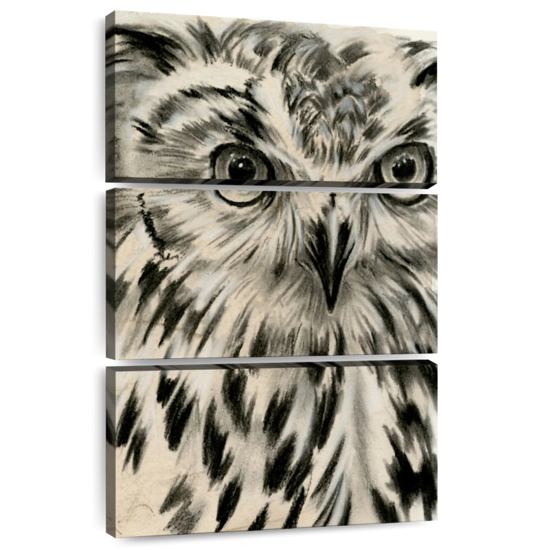 Charcoal Owl I