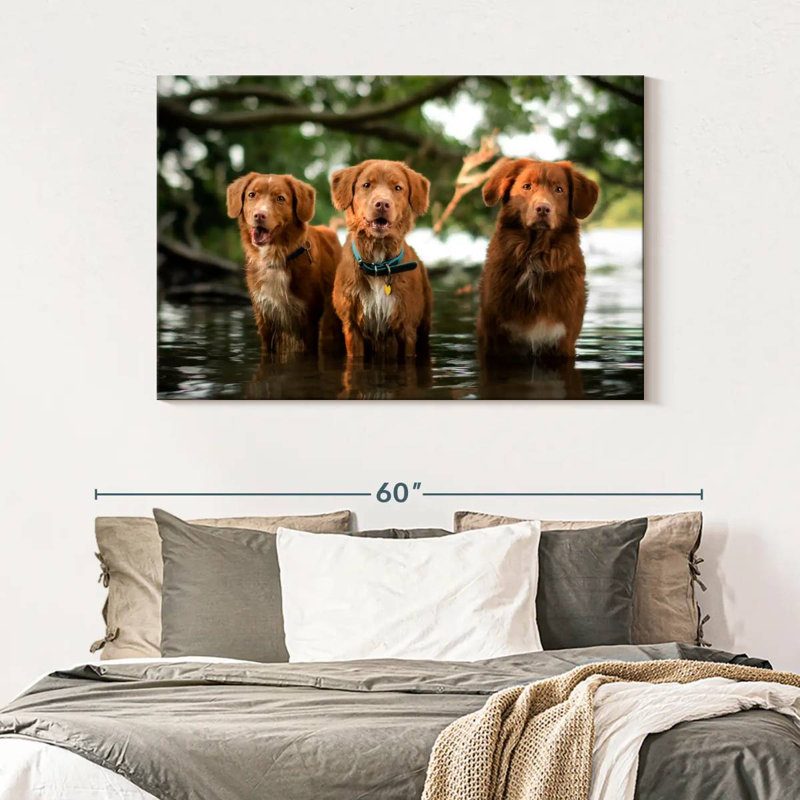 Brampt Tollers In The Water, 32" H x 48" W