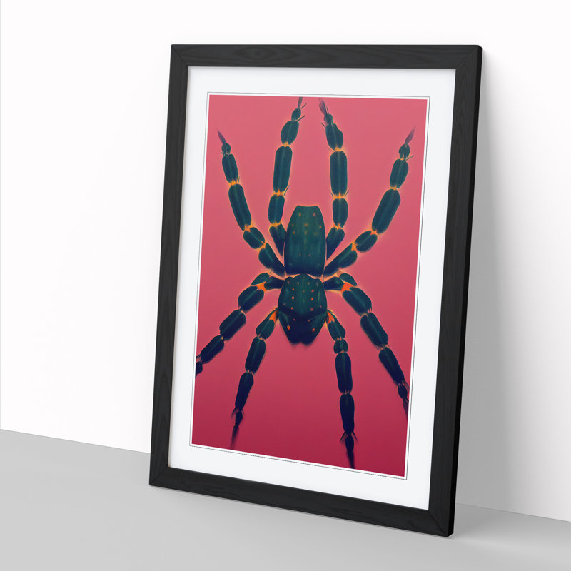 Spider - Single Picture Frame Painting, 34cm H x 25cm W x 2cm D, Oak