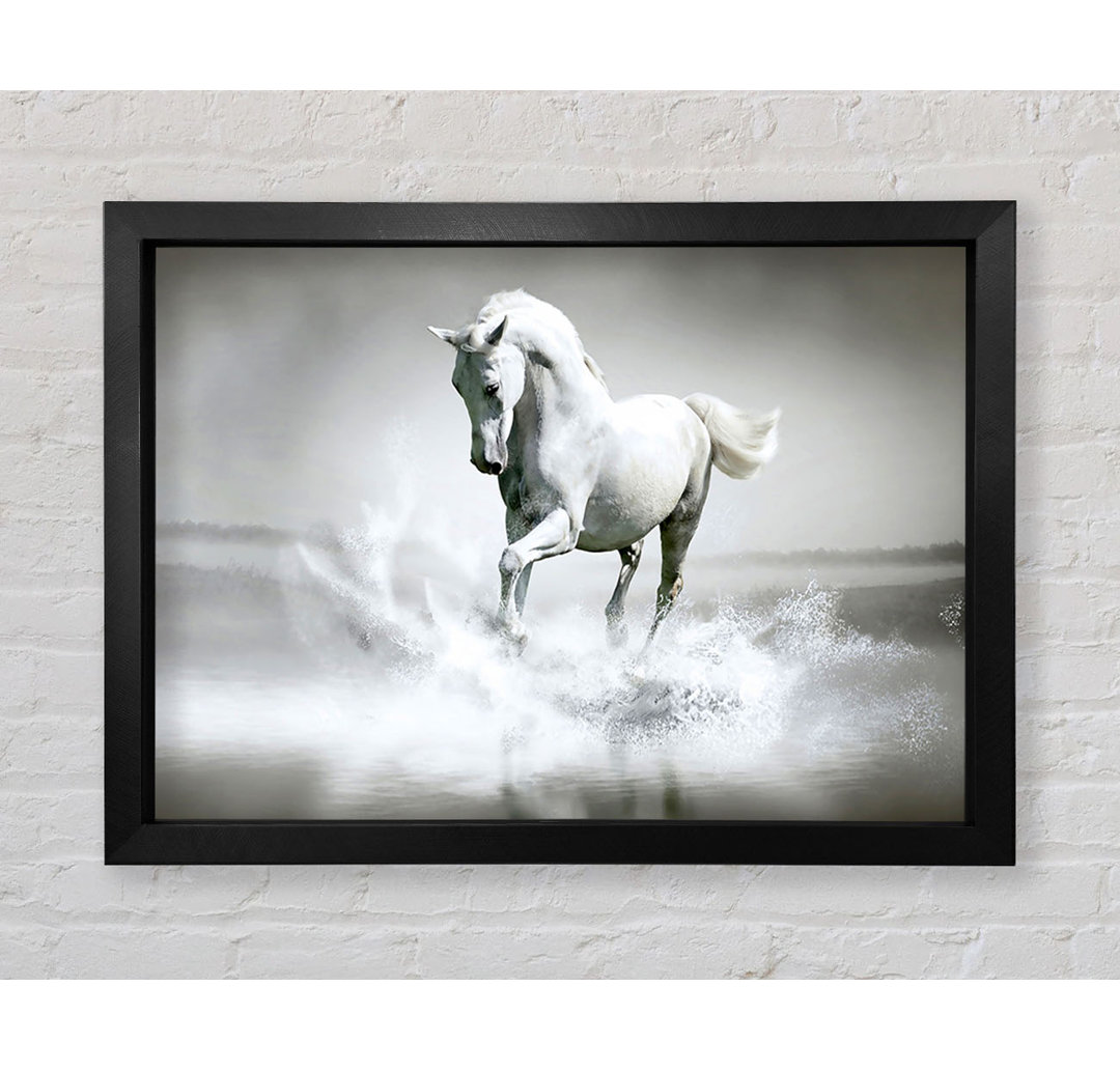 White Water Horse - Druck