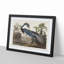 Louisiana Heron by John Audubon - Picture Frame Painting Print on MDF-55577300-55577301
