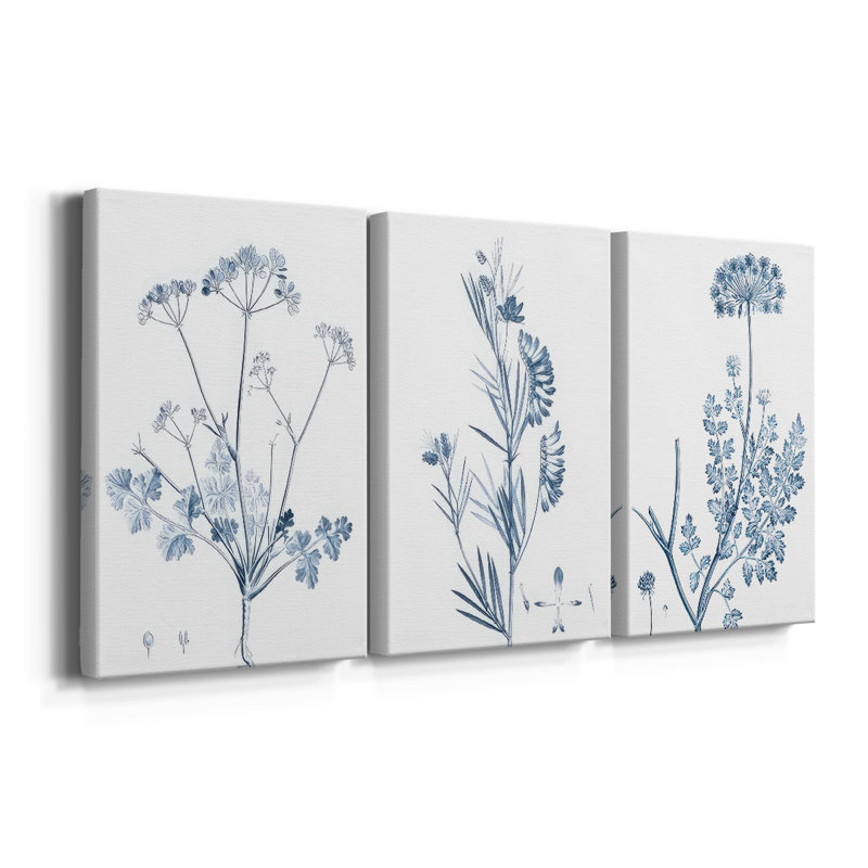 Antique Botanical in Blue IV - Toile tendue avec châssis sur mesure - 3 pièces, H 12 po x l 24 po
