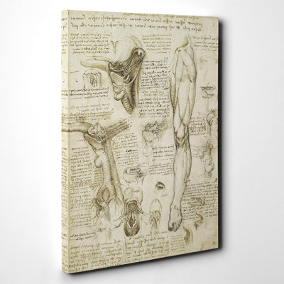 Leonardo Da Vinci - Wrapped Canvas Painting