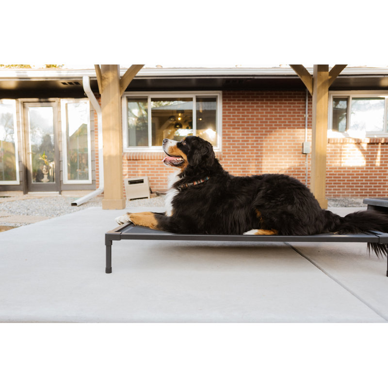 Lit pour chien Cooling, H 7 po x l 32,75 po x P 49,25 po