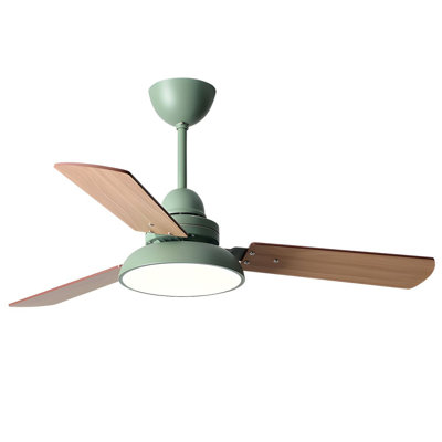 Janovia 48'' Ceiling Fan with LED Lights