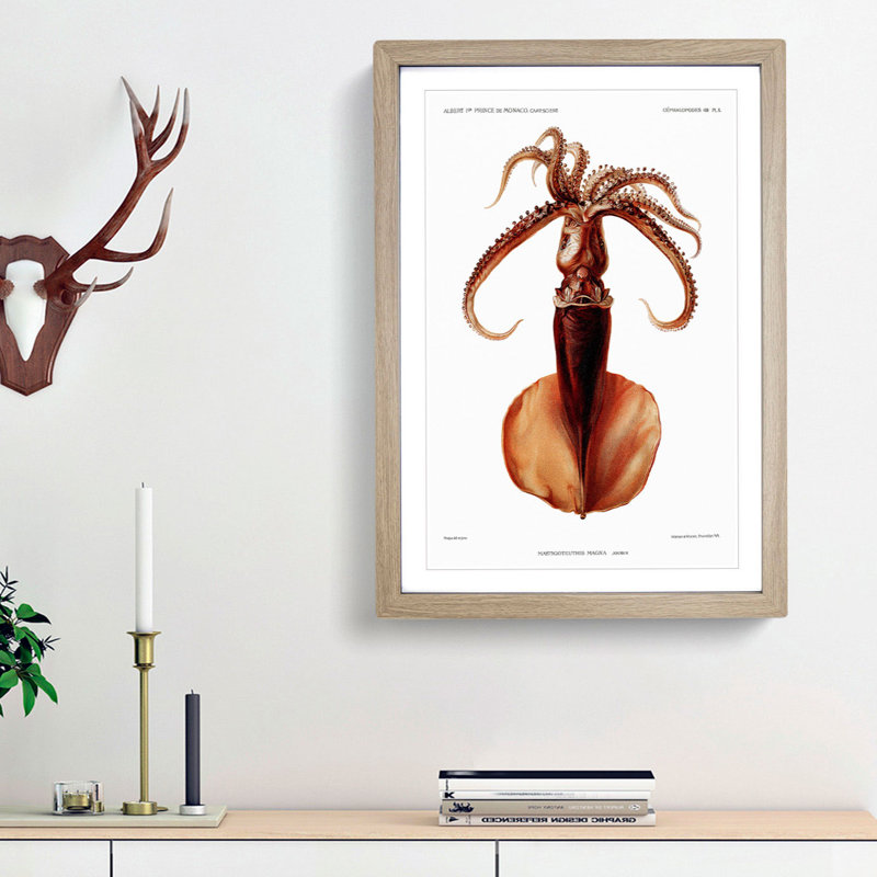 Squid Illustration by Albert I - Picture Frame Painting Print, 36cm H x 27cm W x 2cm D, Oak Framed