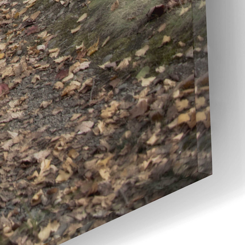 «Birch Trail» par Natalie Mikaels, H 16 po x l 12 po x P 0,13 po