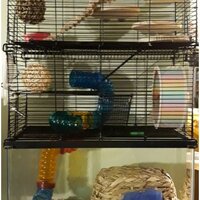 Tucker Murphy Pet™ Cecellia 3 Level Naturals Rat Cage & Reviews