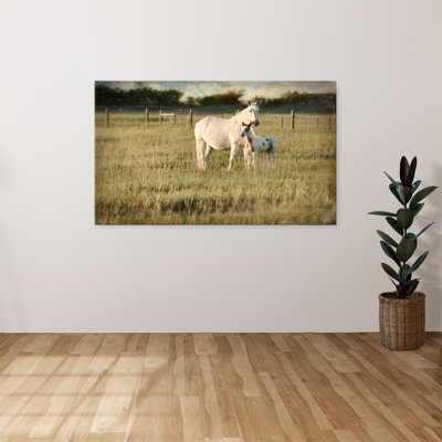 "Mare and Colt" by Rhonda Addison Print on Canvas