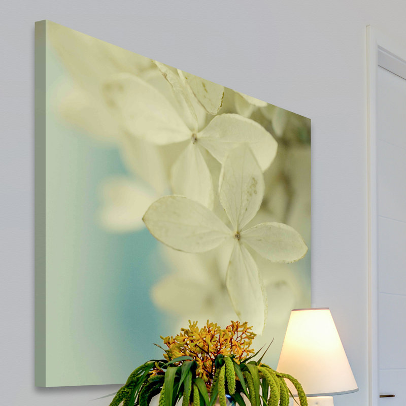 Judy Stalus - Wrapped Canvas Print, 101cm H x 101cm W x 3.81cm D
