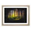 Forest Dreams - Picture Frame Graphic Art Print-56863036-56863034