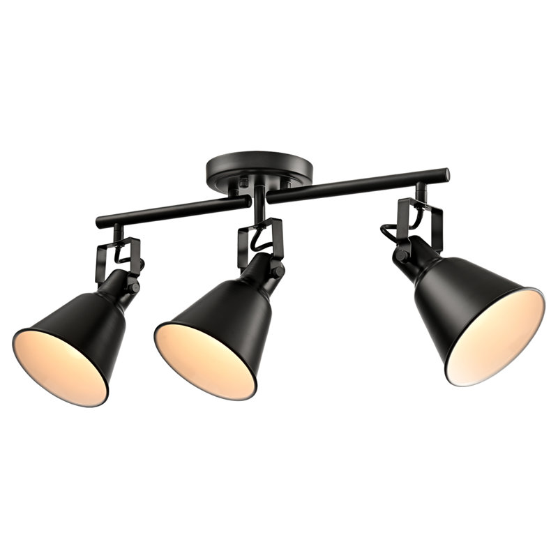 Semi-flush Mount Ceiling Light