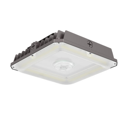 Wattage & Color Adjustable Led Garage Canopy