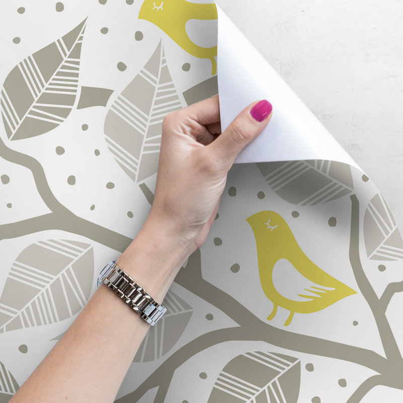 Cavidan 2.5m x 2.5m Matte Mural, 250 x 250cm