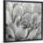 Black Framed Canvas