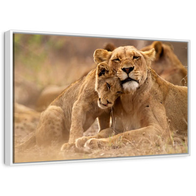 Lionne et louveteau