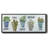 Potted Inspirations- Framed Canvas-1038920477