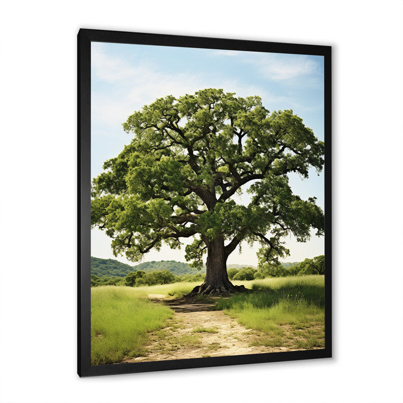 Paysage avec des impressions sur toile, H 44 po x l 34 po x P 1,5 po, Cadre photo noir
