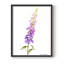 Reproduction encadrée Annie's Foxglove I - bois massif-518441815-518441812