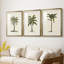 3 pièces de l'UA CH - British Palms I-1939223522-1939223523