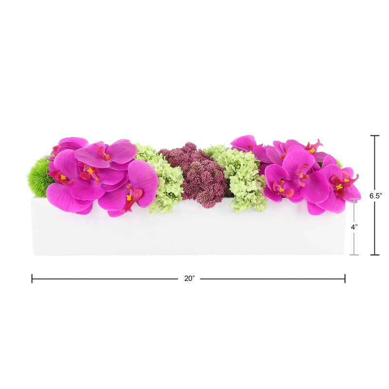 Modern Orchid and Succulent Arrangement