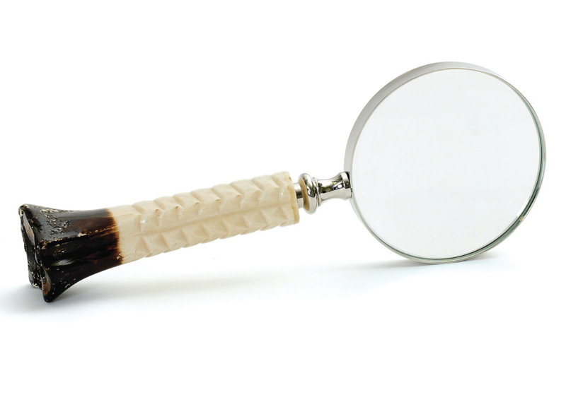 Loupe D'os D'argent