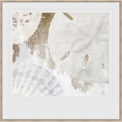 " White Shells I "
